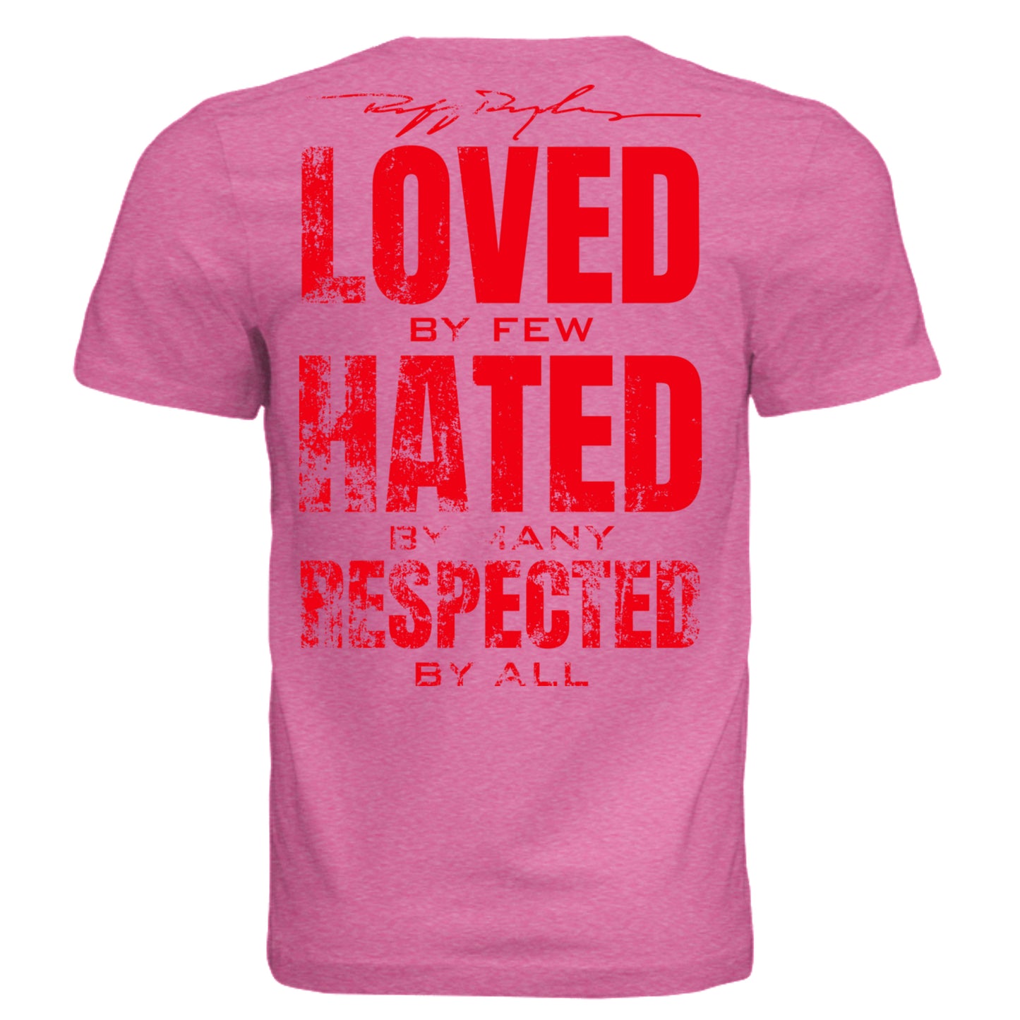 Charity Pink Triblend - 3413C - BACK